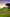 banner khpos